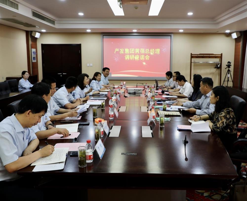 集團黨委副書記、總經(jīng)理黃蓓帶隊調(diào)研濟南市工程咨詢院